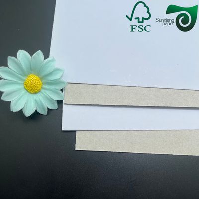 350gsm Grey Back White Board High Stiffness Box Board Duplex Board Grey Back