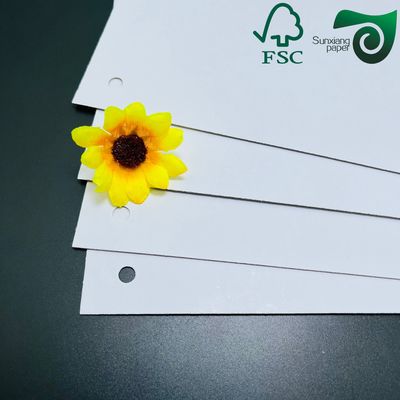 FSC 400gsm C1S Clay Coated Paper With Grey Back 22"   24"  Premium Packaging Paper