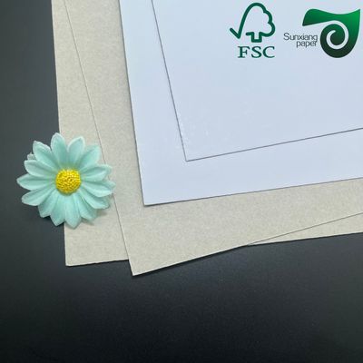 FSC Certified Coated Duplex Board  Grey Back  250gsm 300gsm For Premium Shoe Boxes