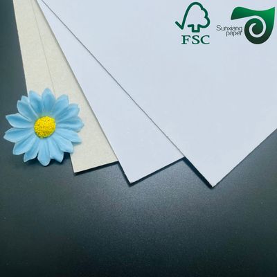 FSC Grey Backed Coated Duplex Board 230gsm 250gsm Ideal For Shoe Box Manufacturing