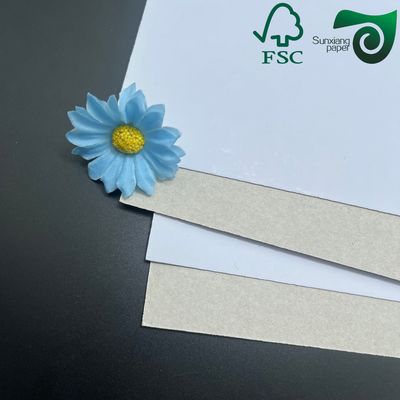 450gsm C1S Coated Grey Back Duplex Board Jumbo Roll 1300mm Width For Shoe Box  Carton Packaging Printing