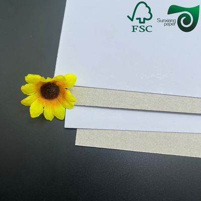 FSC Grey Backed Coated Duplex Board 230gsm 250gsm Ideal For Shoe Box Manufacturing