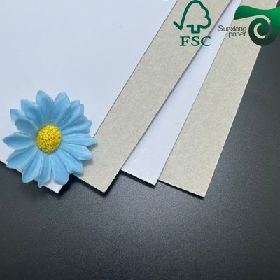 Grade AA Single Side White Coated Duplex Board 250gsm 280gsm 300gsm 70cm 100cm