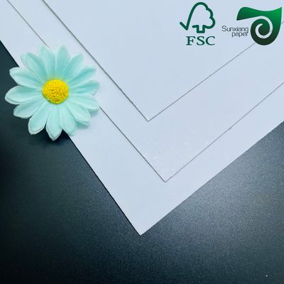 FSC 200gsm 500gsm White Grey Backed Duplex Board Recycled Pulp Coated