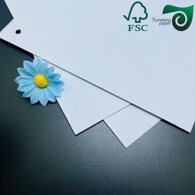 FSC 230gsm 250gsm Grey Backed Coated Duplex Board  Shoe Box Specific