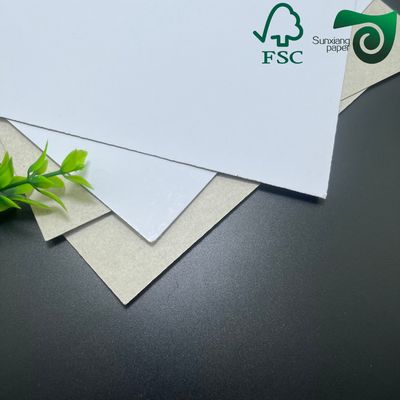 250gsm 400gsm CCNB Carton Board Clay Coated News Back  Duplex Cardboard For Freezer Food Packaging