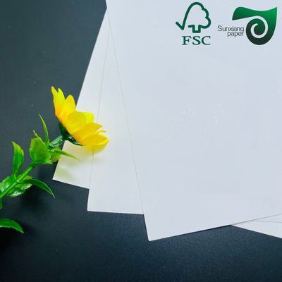 FSC Certified High Printability Double Sided Coated Glossy Cover Paper  460mm  650mm