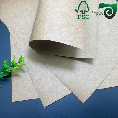 FSC 250G 300G High Bulk Virgin Kraft Paper For Paper Salad Bowls