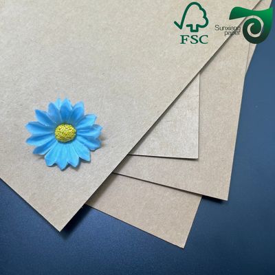 FSC 180gsm 350gsm Brown Polycoated Kraft Paper Single Double Sided For Cups Bowls