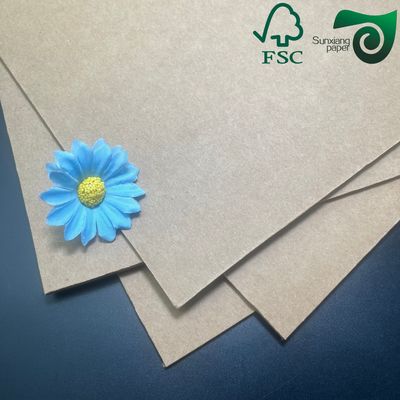 300gsm 450gsm Virgin Brown Kraft Liner Paper Anti-Curl Wrapping Grade