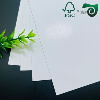FSC Certified 180um Double Sided Glossy PET Synthetic Paper Sheets  Tear Resistant