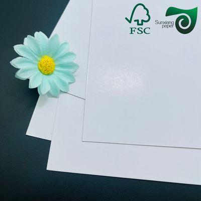 FSC Certified 180um Double Sided Glossy PET Synthetic Paper Sheets  Tear Resistant
