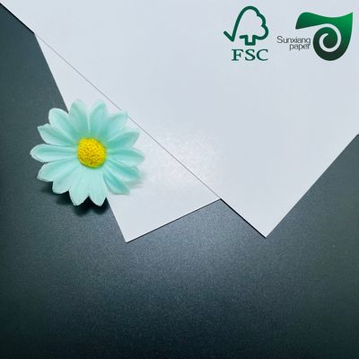 FSC American Bristol Paper Board 250gsm 300gsm Premium Solution For High Quality Sheet Printing