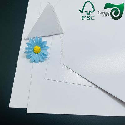 FSC Double Sided White C2S Glossy Art Board 350GSM Premium Offset Printing Solution