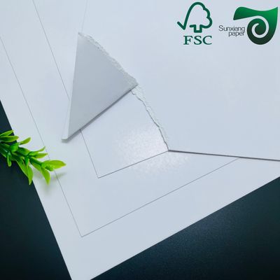 FSC Certified Double Sided White C2S Glossy Art Board  300GSM Premium Offset Printing Solution