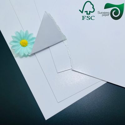 FSC 100gsm 120gsm White C2S Coated Art Paper For Books Printing 800mm 1280mm