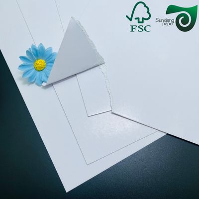 FSC High Bulk C2S Gloss Artboard  White Double Side Coated Printing Paper 300gsm Custom Size