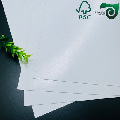 FSC 210gsm Strong Extensibility White Cup Stock Paper Food Grade For Paper Cup Making