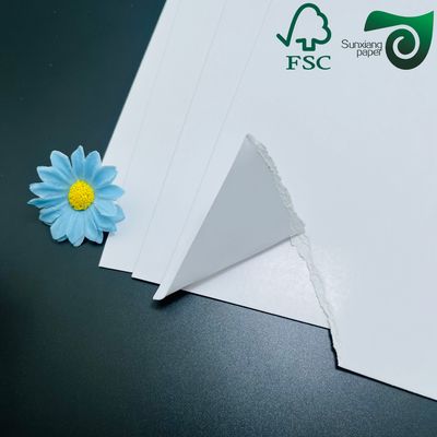 FSC 200gsm Aqueous Plastic Free Cupstock Paper Takeaway Food Containers