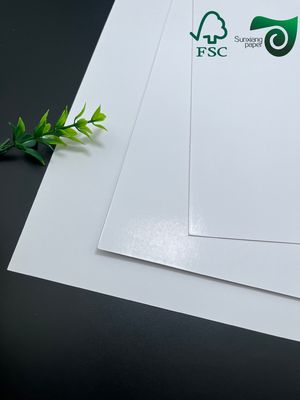 FSC 200gsm Aqueous Plastic Free Cupstock Paper Takeaway Food Containers