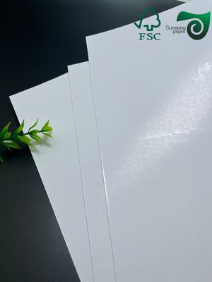 FSC 200gsm Aqueous Plastic Free Cupstock Paper Takeaway Food Containers