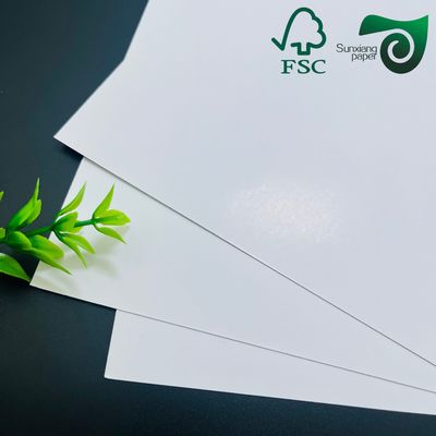 FSC 190gsm Bowl Paper 100% Virgin Wood Pulp Custom Coated For Paper Bowl Making