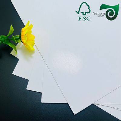 FSC 190gsm Bowl Paper 100% Virgin Wood Pulp Custom Coated For Paper Bowl Making