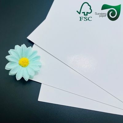 100% Virgin Wood Pulp High Brightness White Cardboard Roll 290gsm to 320gsm for Premium Packaging and Printing