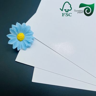 300gsm High Strength White Cardboard Roll in 1194mm Size for Packaging and Printing