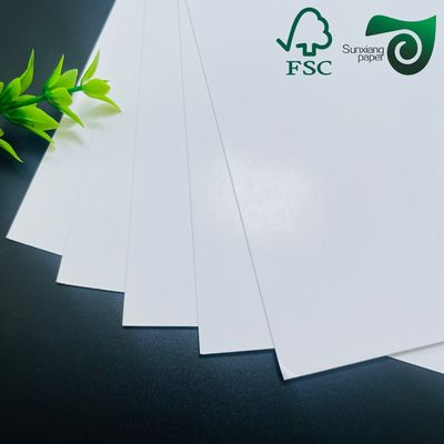 300gsm High Strength White Cardboard Roll in 1194mm Size for Packaging and Printing