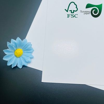 100% Virgin Wood Pulp High Brightness White Cardboard Roll 290gsm to 320gsm for Premium Packaging and Printing