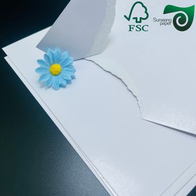 FSC Certified 270gsm  C2S Glossy Art Board  Double Sided White  For Offset Printing