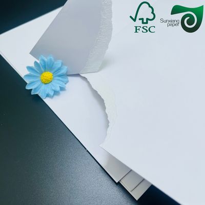 FSC C2S Glossy Art Board 250gsm 400gsm  Premium Cover Paper For Brochures  Book Covers