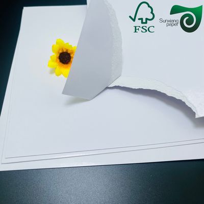 White Double Sided Coated Paper For Advertisement Printing And Product Brochure
