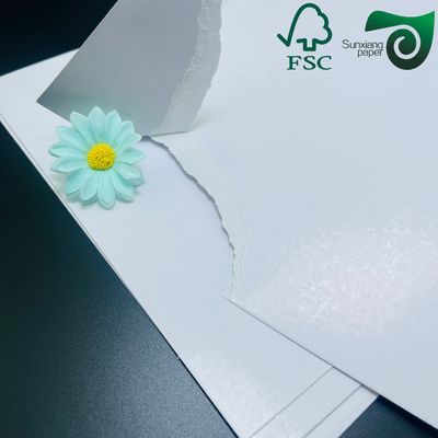 320gsm High Brightness White Cardboard Roll Ideal for Industrial Packaging and Creative Applications