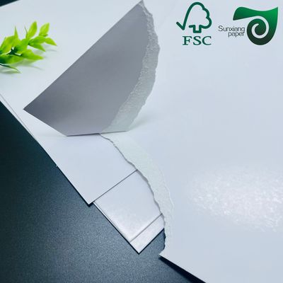 300gsm High Strength White Cardboard Roll in 1194mm Size for Packaging and Printing