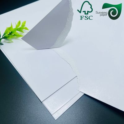 High Brightness White Cardboard Roll Gravure Printing Compatible 120gsm-320gsm for Packaging and Printing