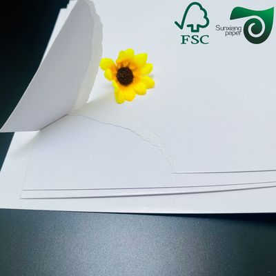 High Brightness White Cardboard Made from 100% Virgin Wood Pulp in 290gsm to 320gsm for Creative Packaging