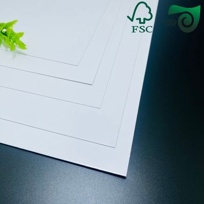 FSC 300gsm Food Grade C1S SBS Solid Paperboard Single Side Coated White Cardboard