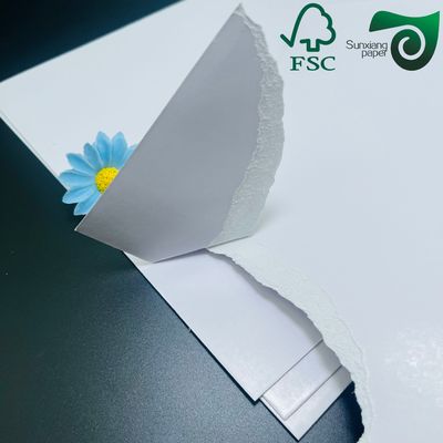 FSC 200gsm Aqueous Plastic Free Cupstock Paper Takeaway Food Containers