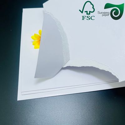 300gsm High Strength White Cardboard Roll in 1194mm Size for Packaging and Printing