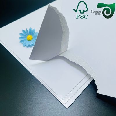 FSC Eco Friendly Material 350gsm C1S Food Safe Single Side Coated White Cardboard Premium