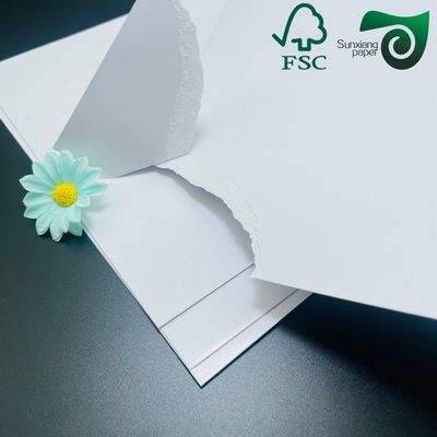 FSC Double Sided Coated White Board  White Grey Core 800gsm 1000gsm Folding Box Board FBB