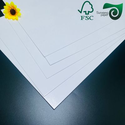 FSC 610mm   860mm 250gsm High Brightness Glossy Text Cover Paper Excellent Printability