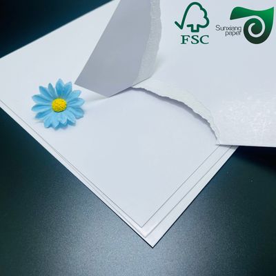 FSC 610mm   860mm 250gsm High Brightness Glossy Text Cover Paper Excellent Printability