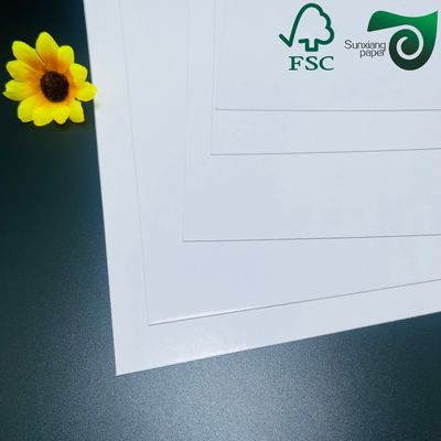 FSC 610mm   860mm 250gsm High Brightness Glossy Text Cover Paper Excellent Printability