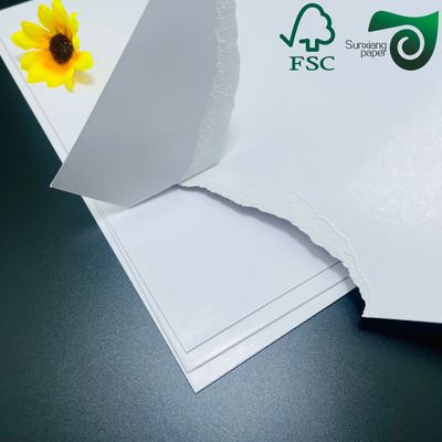 FSC Glossy C2S Art Paper Double Side Coated  High Smoothness  Whiteness