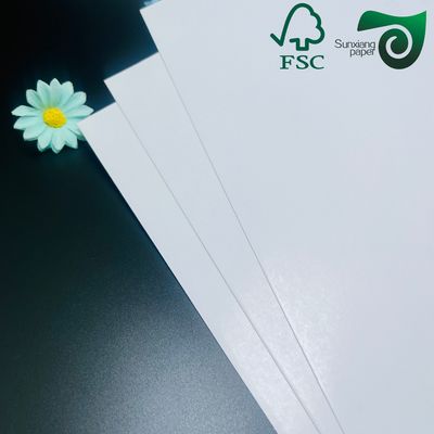 FSC C2S Coated Two Sides Matte   Glossy Coated Art Board 80G 115G  635mm 900mm