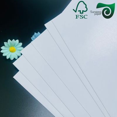 FSC C2S Coated Two Sides Matte   Glossy Coated Art Board 80G 115G  635mm 900mm