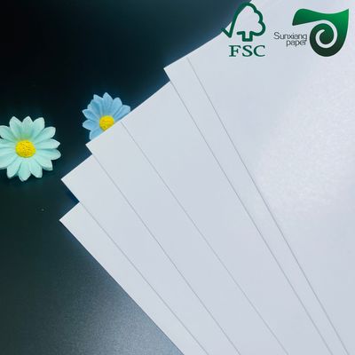 FSC C2S Coated Two Sides Matte   Glossy Coated Art Board 80G 115G  635mm 900mm